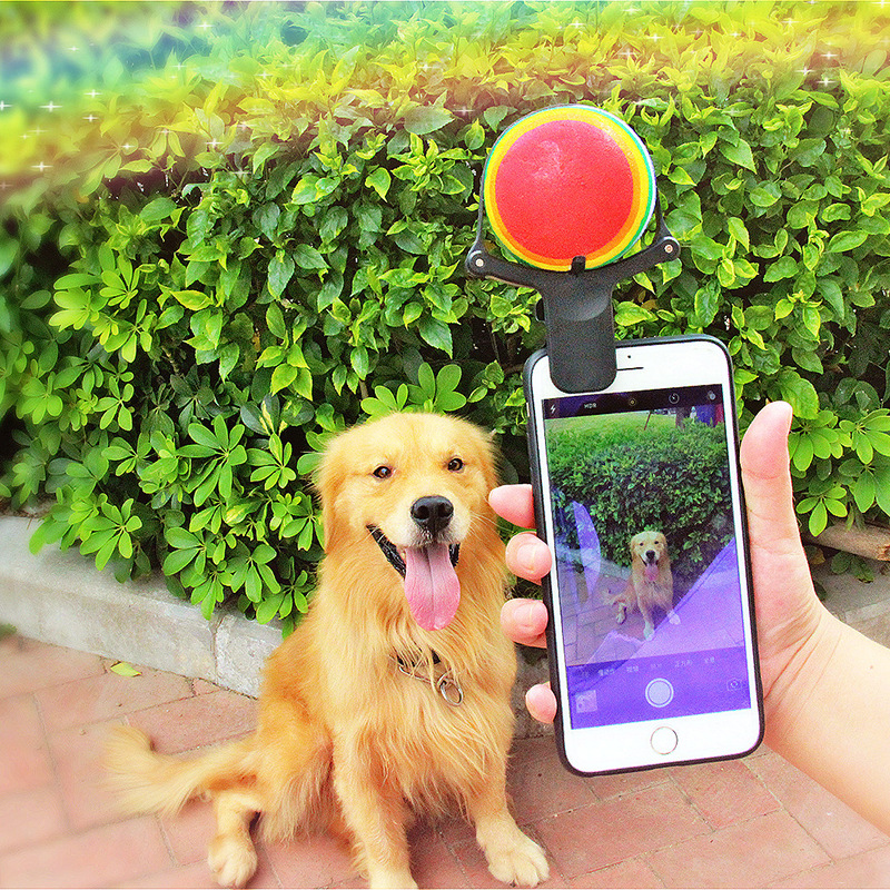 Pet Photo Props Toy Pet Photo Selfie Funny Dog Camera Phone