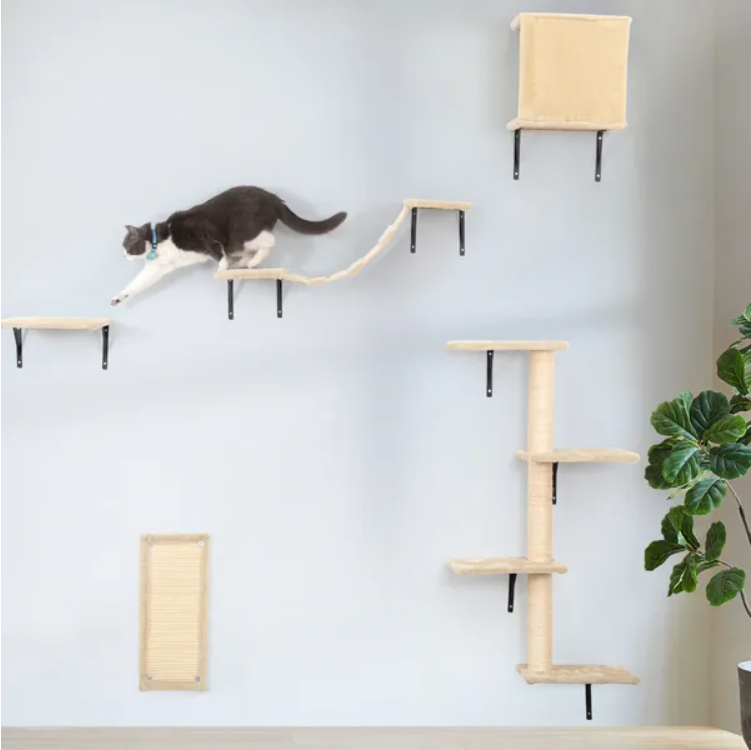 Cat Wall Shelves
