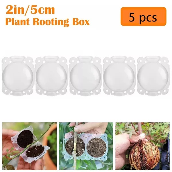 Plant Rooting Device Grow Graft Box High Pressure Propagation