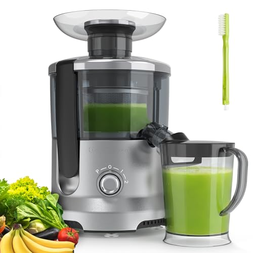 Centrifugal Juicer, 500 Watt Juicer, Equipped With A 2 Inch
