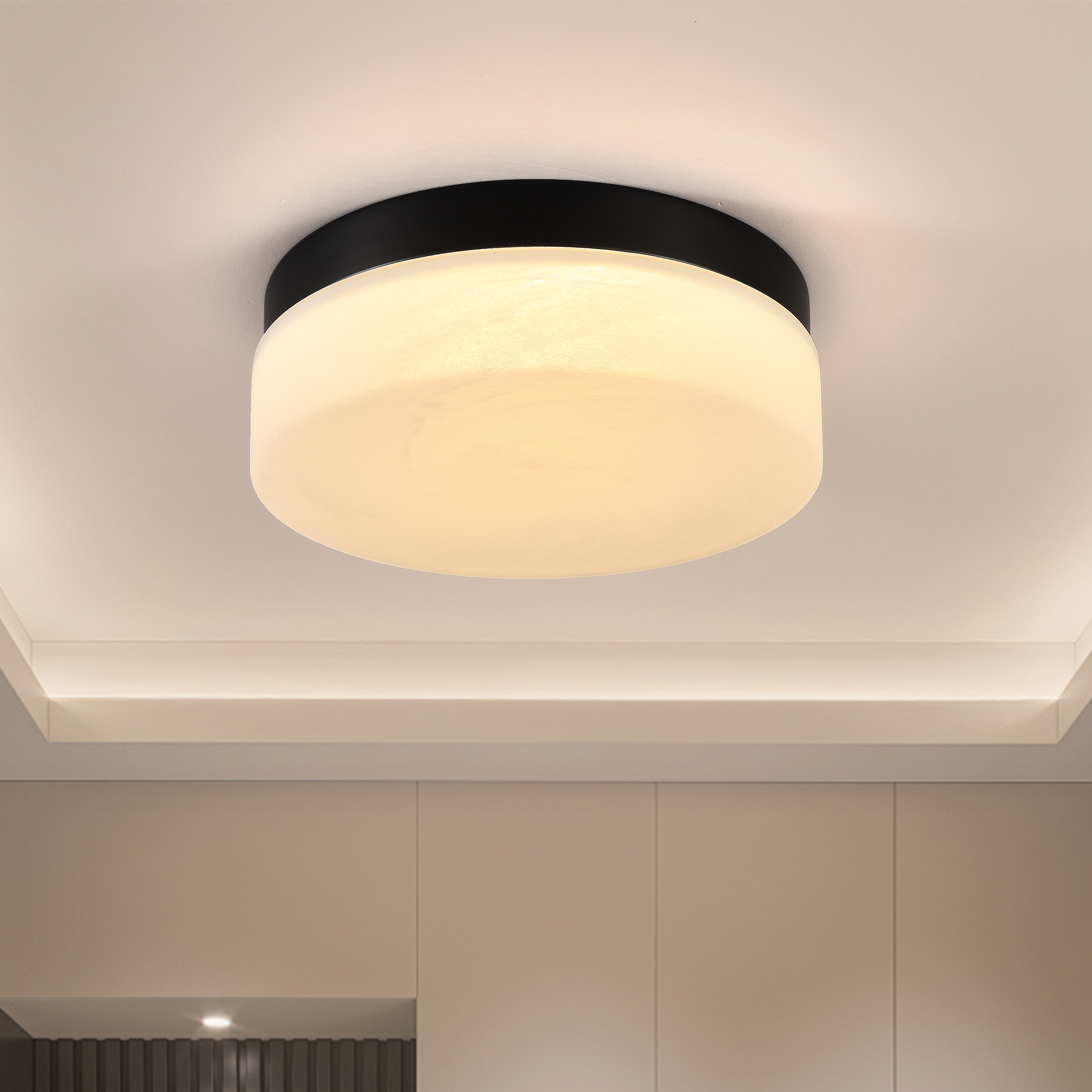 12 Inch Led Ceiling Light, 24w Flush Mount Ceiling Light,Round