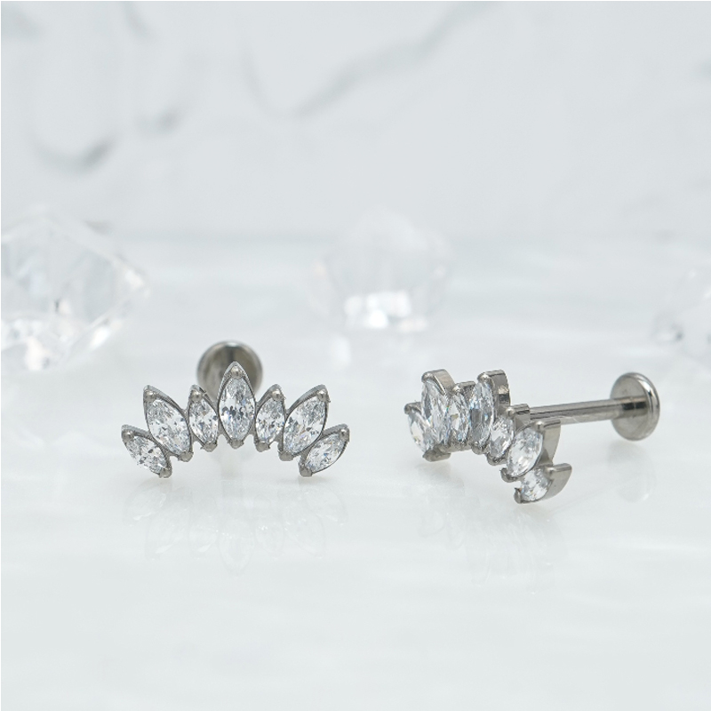 1 Pair Of Women'S Earrings, 16 Gauge Implant Grade Titanium